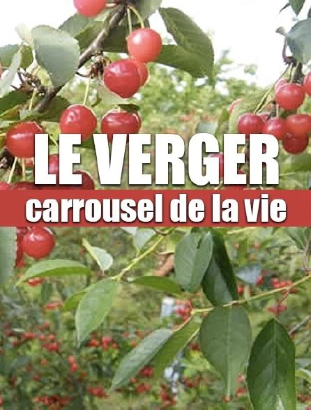 Karussell des Lebens - Die Streuobstwiese