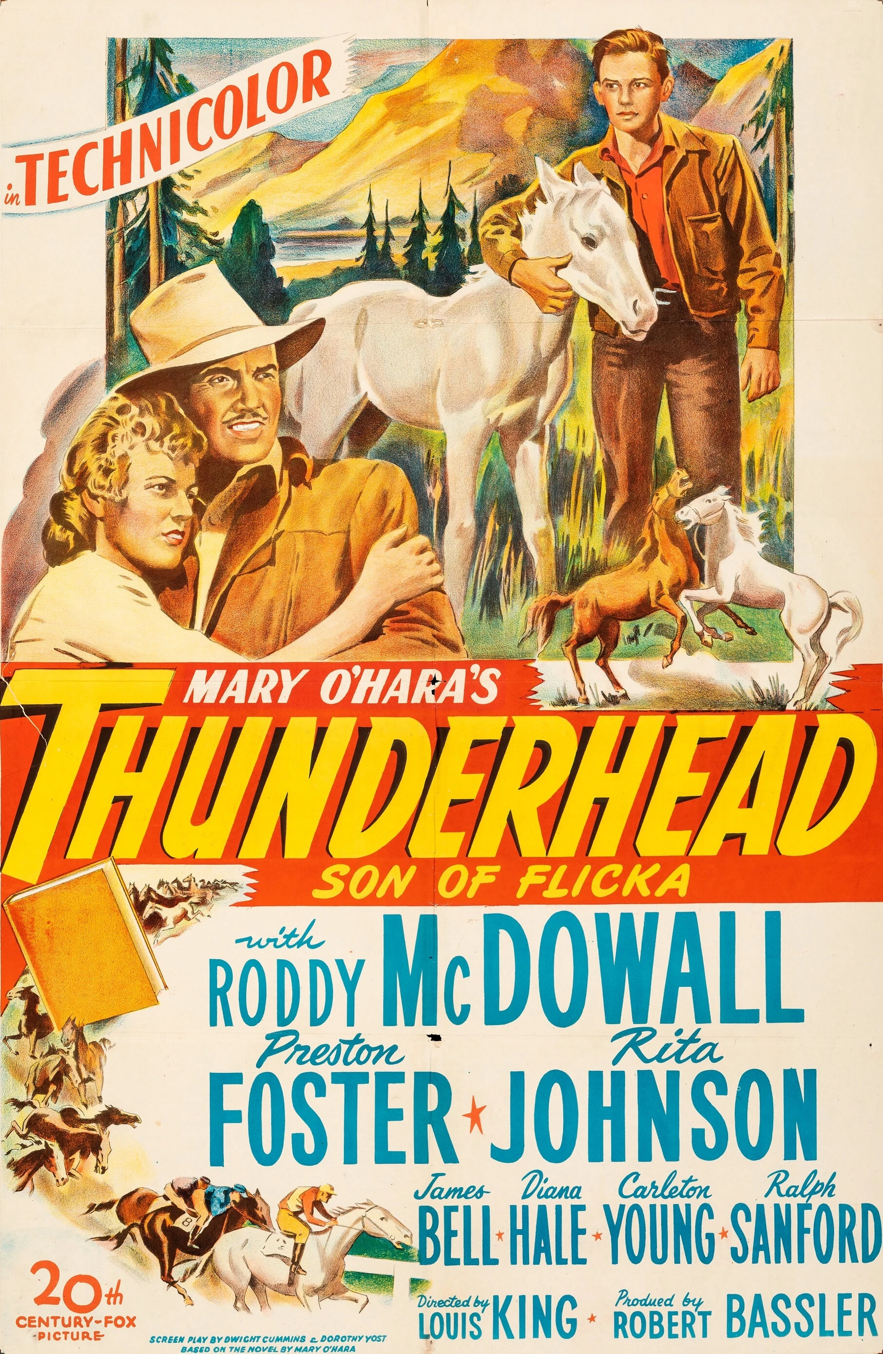 Thunderhead: Son of Flicka