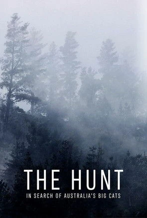 The Hunt: In Search of Australia's Big Cats
