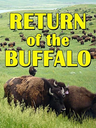 The Return of the Buffalo: Restoring the Great American Prairie