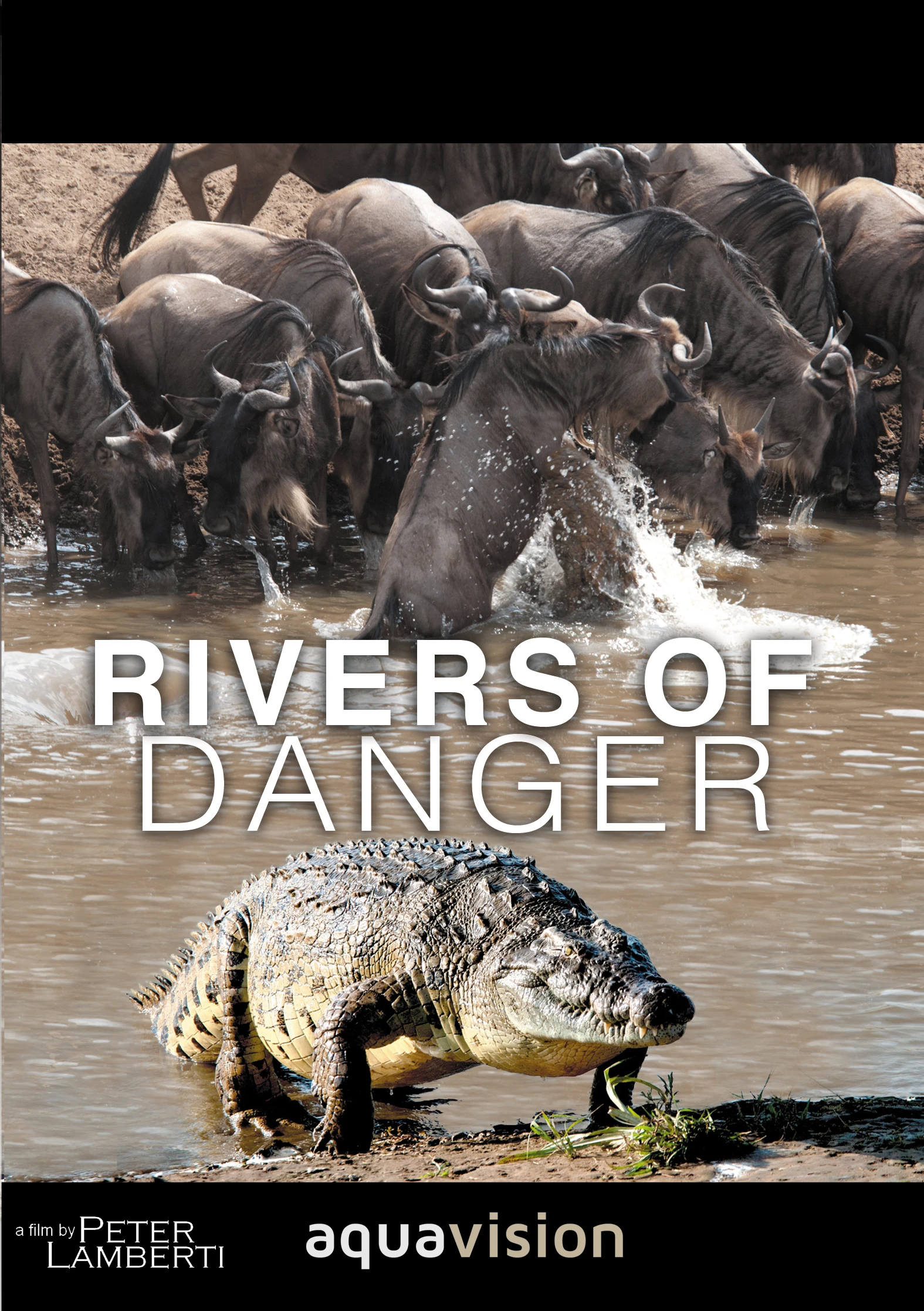 Rivers of Danger