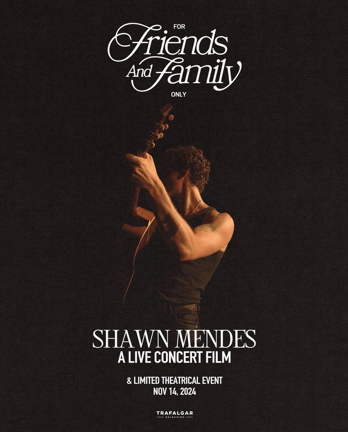 Shawn Mendes: For Friends and Family Only (A Live Concert Film)